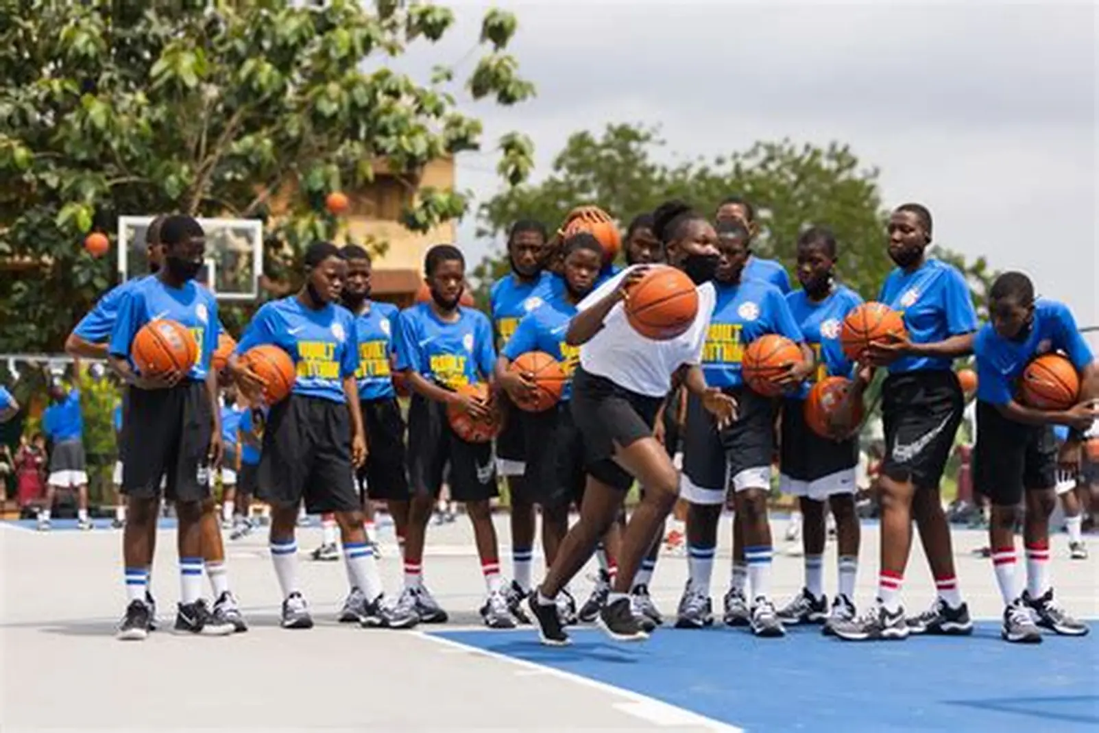 Forest path through green canopy